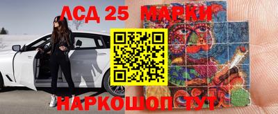 твердый Сланцы