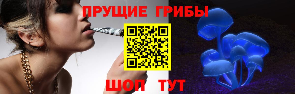 Галлюциногенные грибы Cubensis  Псилоцибиновые грибы Cubensis  Вход с VPN  Саратов 